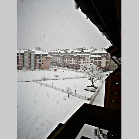 Belvedere *