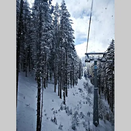 Belvedere * Bansko