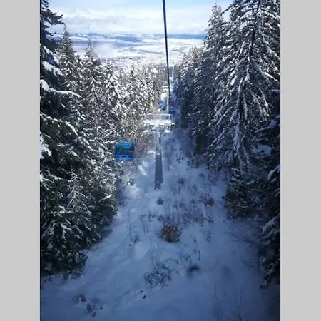 Lejlighed Belvedere *